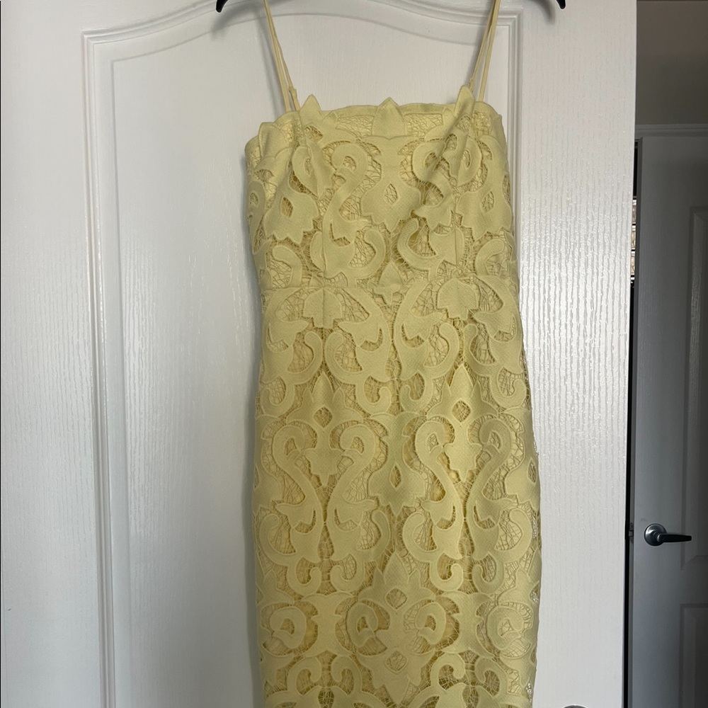 Bardot Lace sheath dress